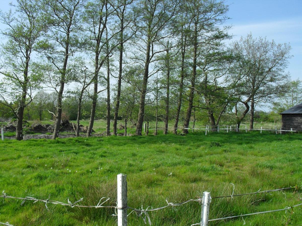Ferienhof Schlachter Berumbur Buitenkant foto