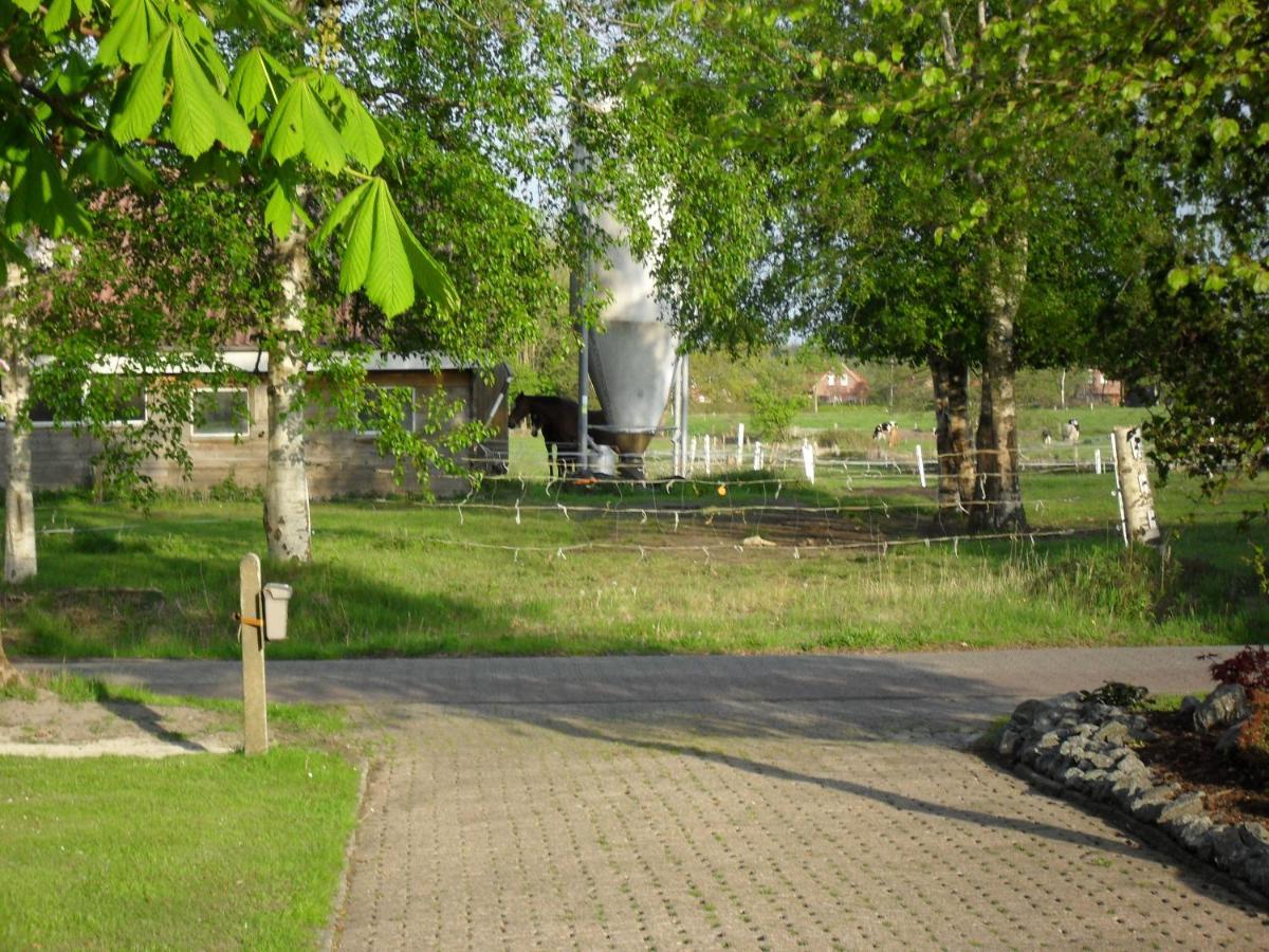 Ferienhof Schlachter Berumbur Buitenkant foto