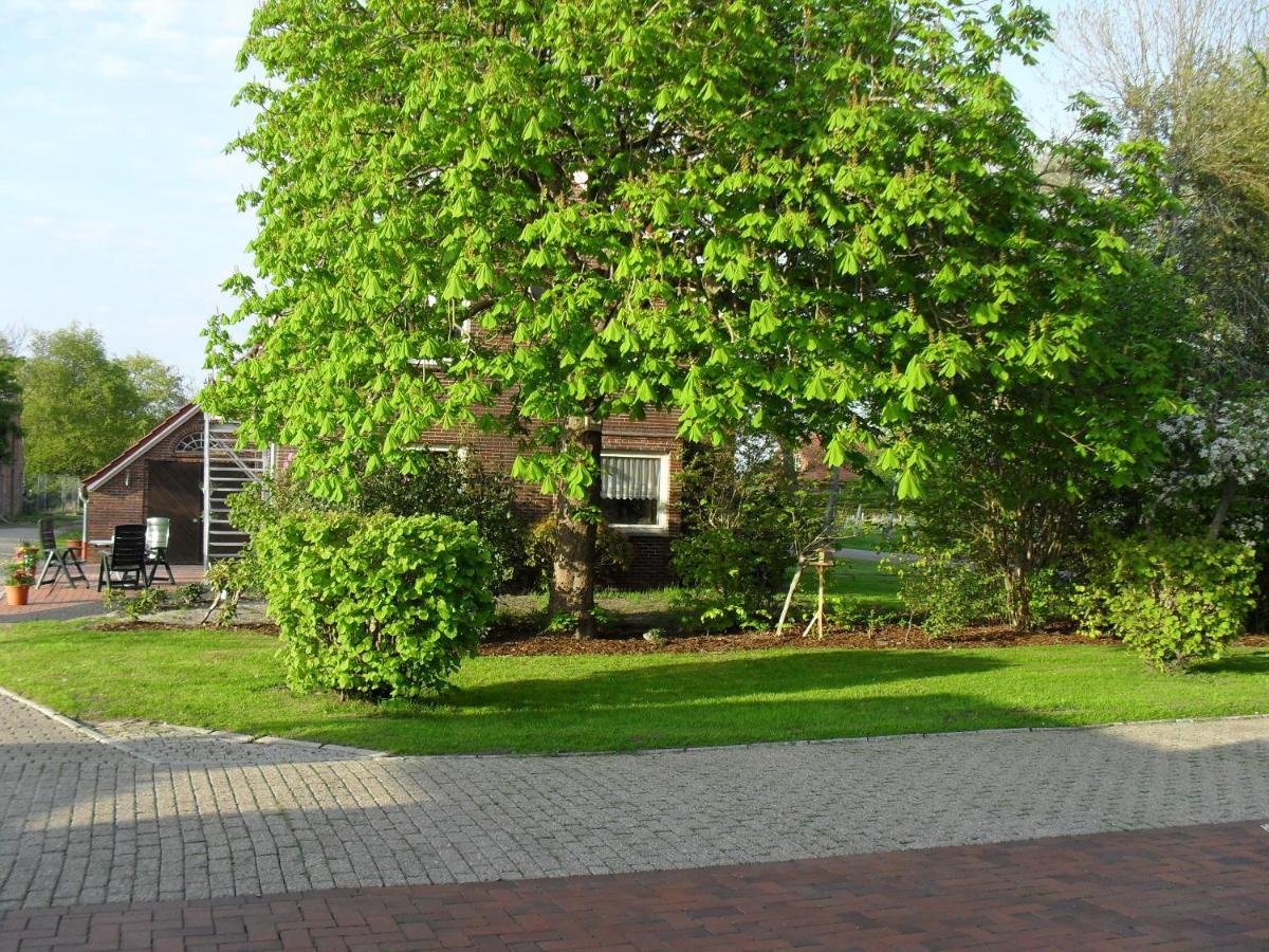 Ferienhof Schlachter Berumbur Buitenkant foto